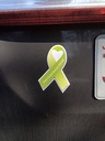 End Child Sexual Abuse Awareness Ribbon Magnet